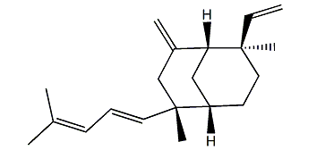 Xishacorene C